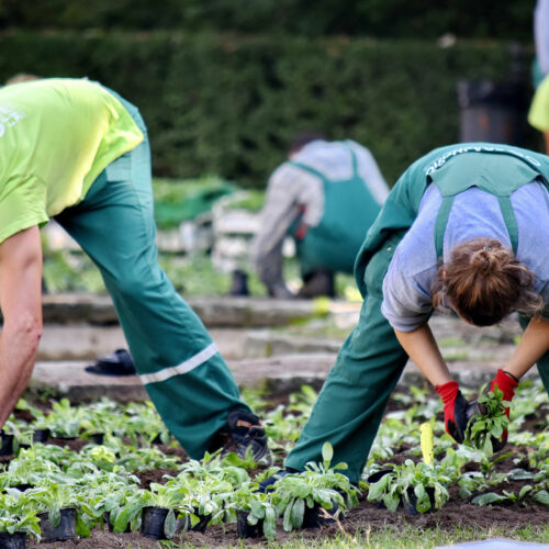 Activació d’un hort urbà a la Universitat de València