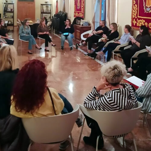 Diagnòstic de salut i identificació d’actius a Moncada